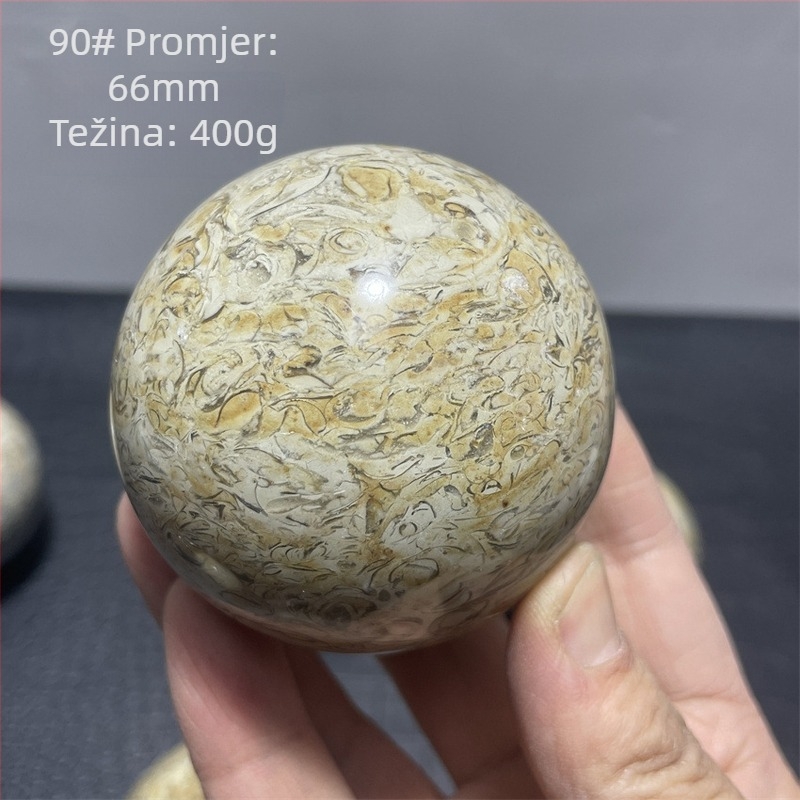 Kristalna kugla od kostiju dinosaura, moderan i jednostavan stil, oblik kugle, materijal: kristal