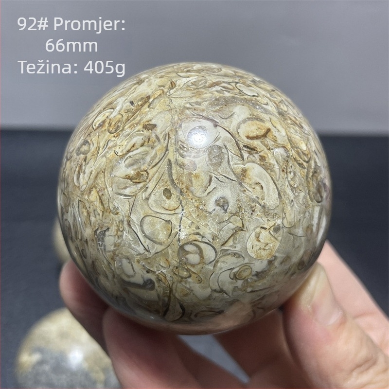 Kristalna kugla od kostiju dinosaura, moderan i jednostavan stil, oblik kugle, materijal: kristal