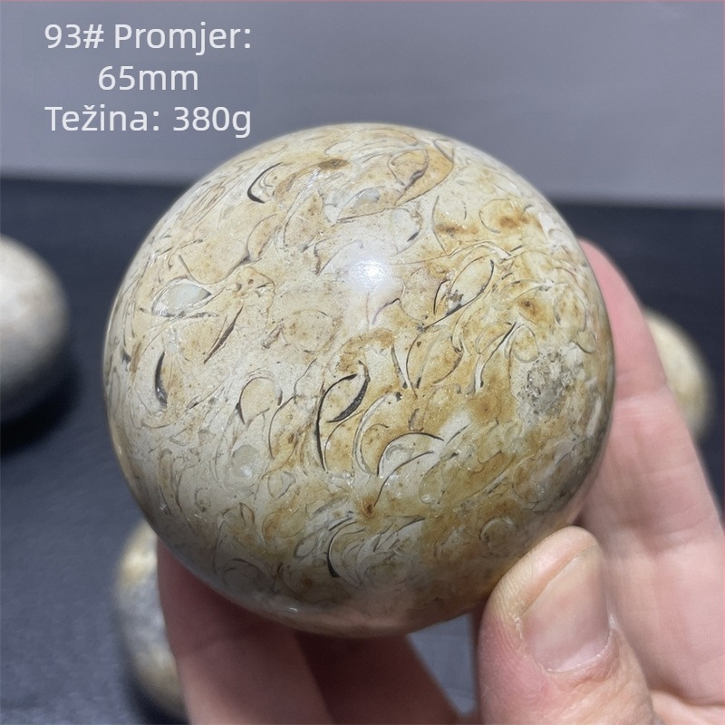 Kristalna kugla od kostiju dinosaura, moderan i jednostavan stil, oblik kugle, materijal: kristal