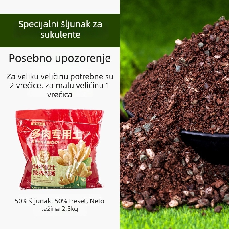 Plastična saksija za sukulente, stoji na podu, jednostavan stil, kućno vrtlarenje.