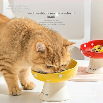 Keramička zdjela za mačke za hranu i vodu, s visokim nogama za stabilnost i nagnutim rubom za udobnost vrata – set od 2