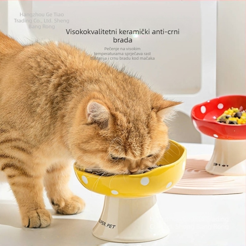 Keramička zdjela za mačke za hranu i vodu, s visokim nogama za stabilnost i nagnutim rubom za udobnost vrata – set od 2