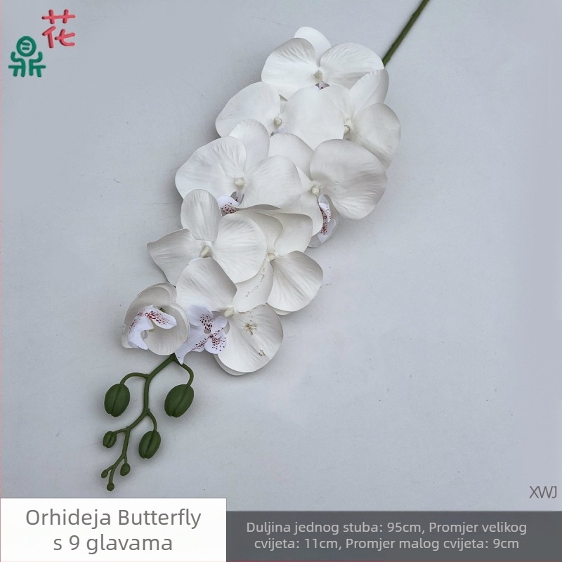 Svilen Phalaenopsis orhideja — 3D studijske rekvizite za fotografiranje, stiliziranje i reljefni završetak, kućna dekoracija