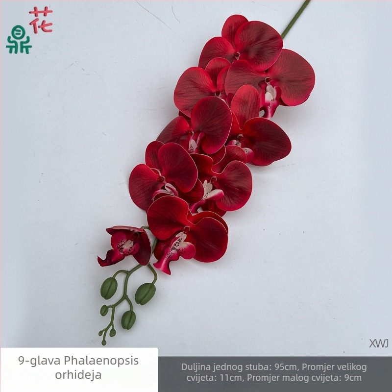 Svilen Phalaenopsis orhideja — 3D studijske rekvizite za fotografiranje, stiliziranje i reljefni završetak, kućna dekoracija