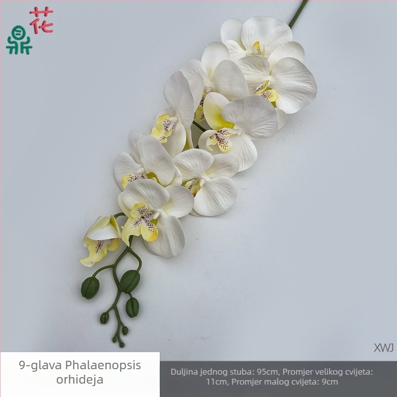 Svilen Phalaenopsis orhideja — 3D studijske rekvizite za fotografiranje, stiliziranje i reljefni završetak, kućna dekoracija