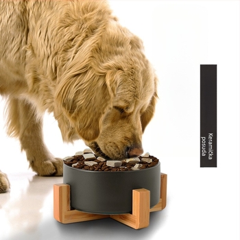 Keramička zdjela za mačke za hranu i piće; pribor za kućne ljubimce; Podrijetlo: Drugo; Pogodno za mačke