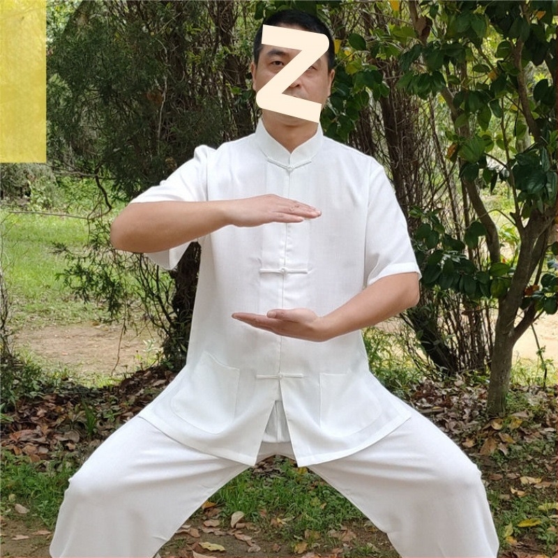 Muški ljetni Tai Chi/Kung Fu trening komplet - pamuk-linen tkanina, kratki rukav, pamuk podstava, za borilačke vještine