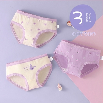 Dječje pamucne bokserice za djevojčice, srednji porast struka, 95% pamuk, za uzrast 3–8 godina