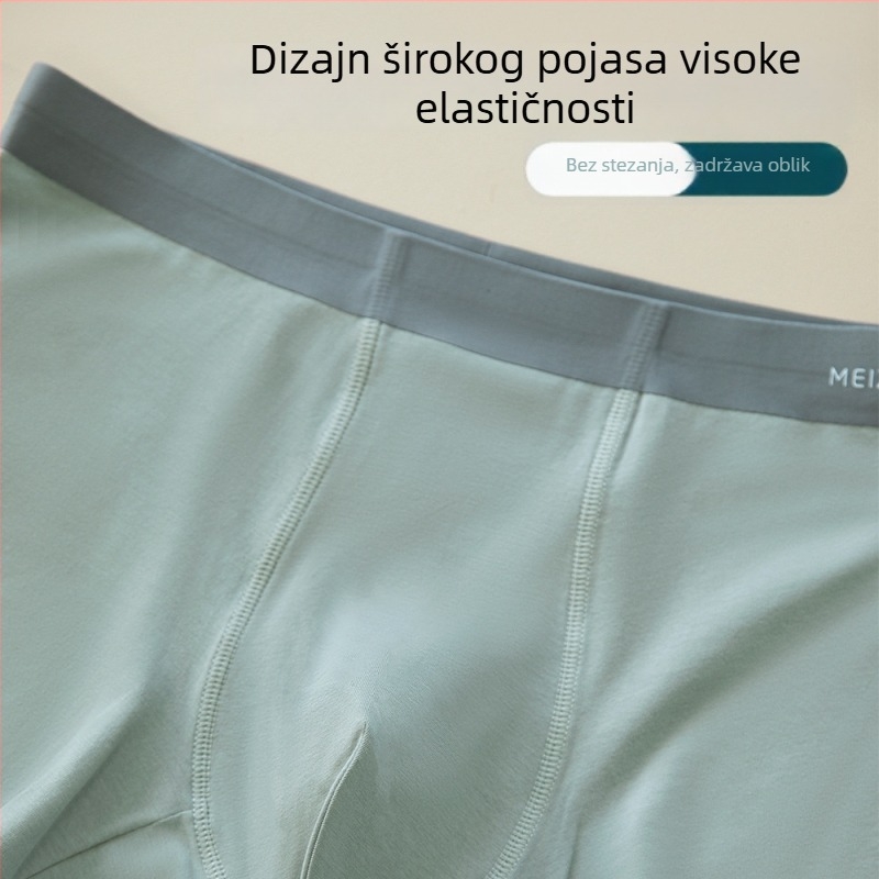 Antibakterijske muške gaćice s ekstraktom kamenice, 50 pari pamukih bokserica, velika veličina