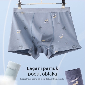 Muške boxerice od pamuka, antibakterijske, plus veličine, s karikaturnim printom