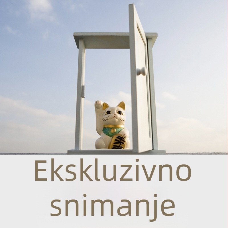 Ženske pamučne gaćice s printom medvjeda, prozračan materijal, nizak struk, pamučna podstava u preponama