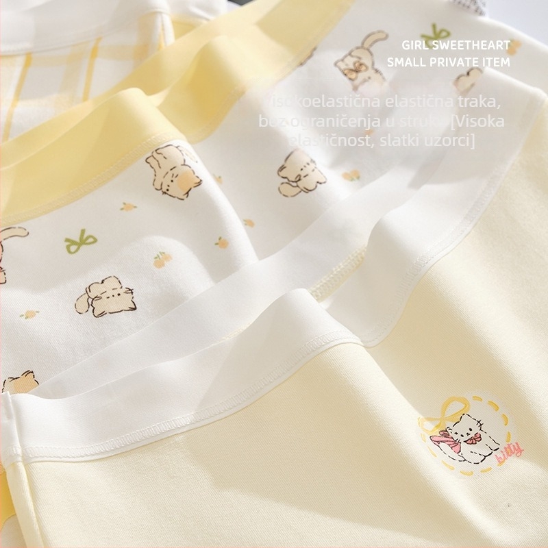 Dječje pamučne gaćice za djevojčice bezšivne Class A pamuk za uzrast iznad 8 godina