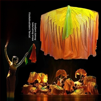 Plesni fan s motivom rižinih klasa za kineski stil klasičnog plesa — Brend Pretty Dancing Girl, Na skladištu, Odrasli, Proljeće 2025