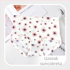 Bezšivne ženske gaćice, antibakterijska pamukasta podstava, prozračne, cvjetni uzorak, lagani ljetni model, srednji pojas, plus veličina, led silk stil