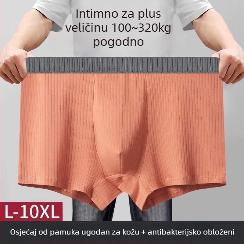 Muške pamučne gaćice, prozračne i antibakterijske, srednji pojas, pleteni materijal