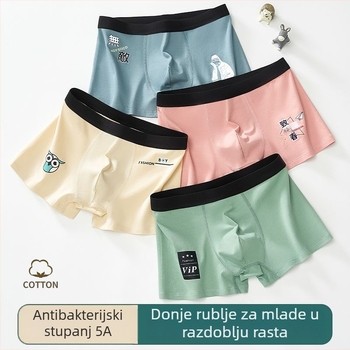 Boxeri za tinejdžere, dječake od pamuk–mješavine, moderan otisak, srednji pojas, bez šavova