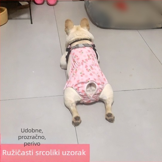 Fiziološke hlačice za žene pse - svilen vanjski sloj, podstava od zecje dlake, srednji pojas, fiziološka funkcija