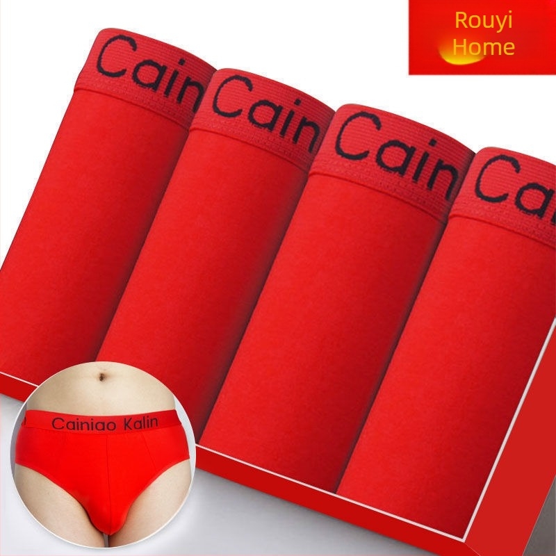 Muške gaćice briefs od Ice Silk s Grapheneom ili bambusovim aktivnim ugljem, ljetni tanki model, plus veličina