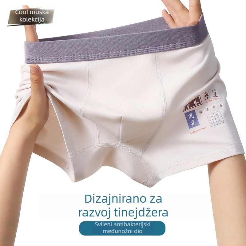 Muške bokserice od modal pamuka, prozračne i antibakterijske, za mlade, tanke ljetne verzije