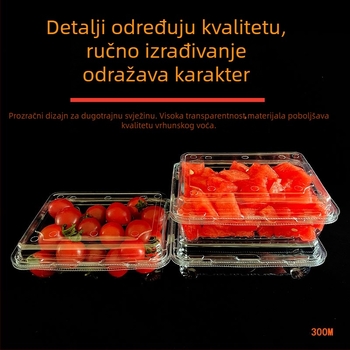 Jednokratna kutija za voće 300B – pakiranje za lubenicu i jagode, biorazgradivi materijal, 100 kom, prilagodba obrade, tiskano logo, broj licence proizvodnje Hubei XK16-204-00918