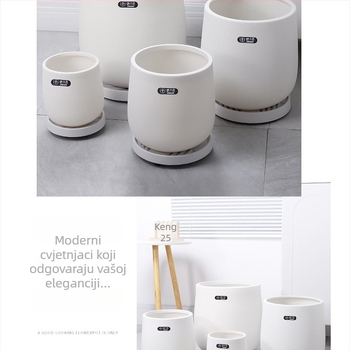 Spremnik za novčano stablo od smole, beton-look, okruglog oblika, moderan minimalistički dizajn, za unutarnju i vanjsku upotrebu (Materijal: svilenkasto cvijeće; Način uporabe: postolje na podu; Izrada: kalupljenje; Primjena: kućno vrtlarstvo; Stil: općeni