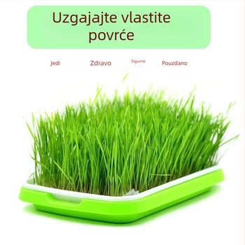 Saksija od PP materijala, otporna na koroziju, za podnu uporabu, za kućno vrtlarenje