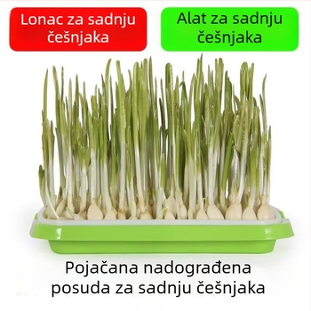 Sadični pladanj za češnjak i mačju travu, prozračan i otporan plast, za postavljanje na pod, kućno vrtlarenje