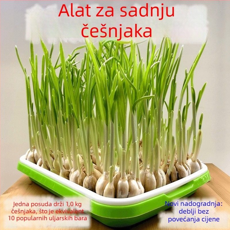 Sadični pladanj za češnjak i mačju travu, prozračan i otporan plast, za postavljanje na pod, kućno vrtlarenje