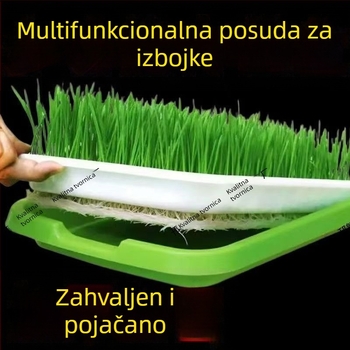 Posuda za sadnice, PVC, samostojeća, hidroponska mreža za uzgoj graška i klica graha, kućni vrt