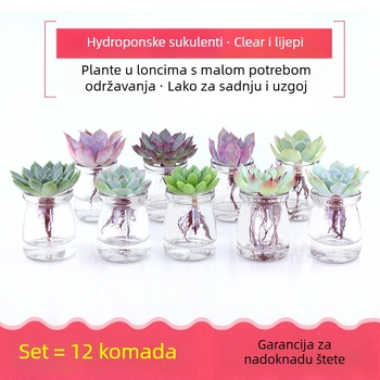 Staklena posuda za sukulente, za kućnu njegu vrtova, podna posuda, jednostavan stil