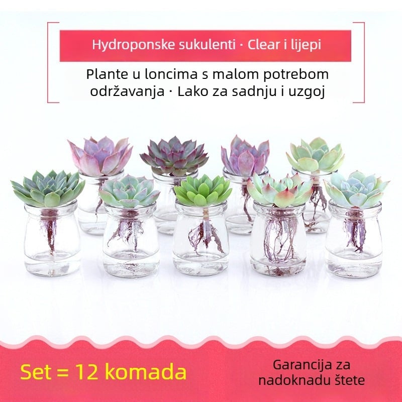 Staklena posuda za sukulente, za kućnu njegu vrtova, podna posuda, jednostavan stil