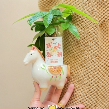 2026 model: keramički lonac za cvijeće s karikaturalnim stilom, ručno oslikan, štedi vodu i otporan na sušu, za stolnu upotrebu, pod ili stohovljiv