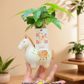 2026 model: keramički lonac za cvijeće s karikaturalnim stilom, ručno oslikan, štedi vodu i otporan na sušu, za stolnu upotrebu, pod ili stohovljiv