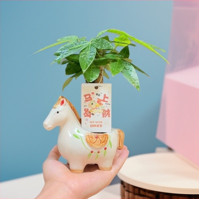 2026 model: keramički lonac za cvijeće s karikaturalnim stilom, ručno oslikan, štedi vodu i otporan na sušu, za stolnu upotrebu, pod ili stohovljiv