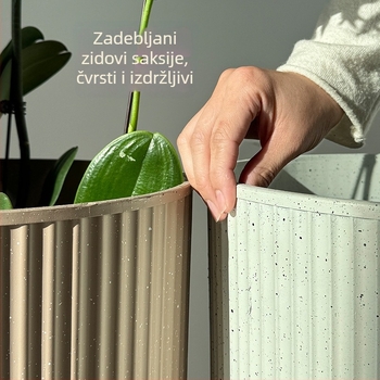 Phalaenopsis lonac za orhideju – plastična dekorativna unutarnja posuda za sukulente i zelene biljke