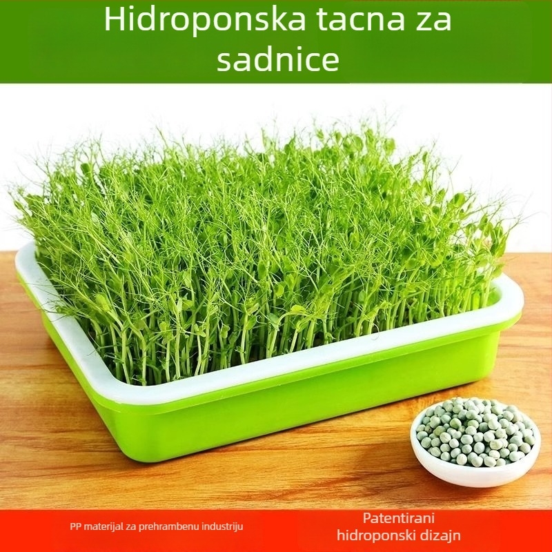 Tava za klijanje za balkonski uzgoj – hidroponsko uzgajanje povrća bez zemlje; klijanci graha, pšenice i češnjaka.