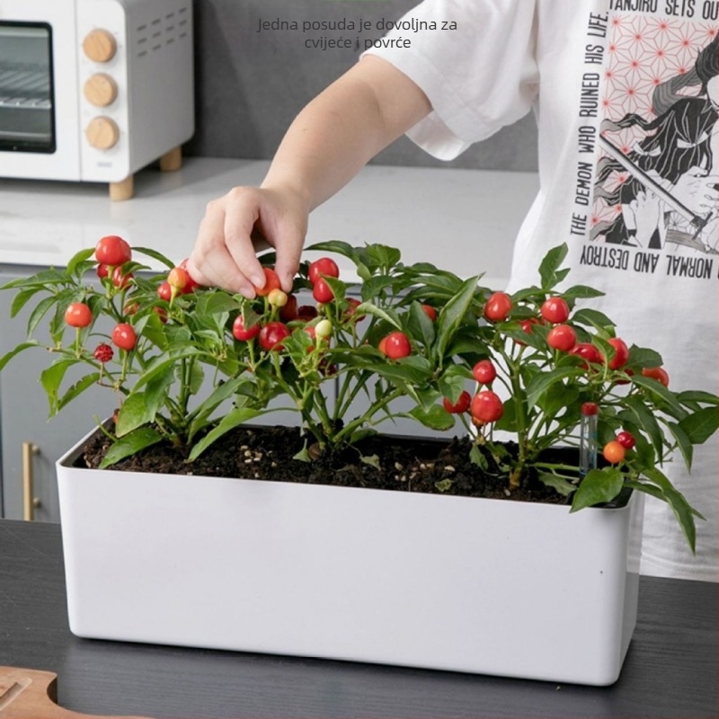 Posuda za biljke od plastike, s automatskim upijanjem vode, uštedom vode, injekcijski oblikovana, za zidnu, stolnu ili podnu upotrebu