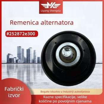 Napinjač remena generatora 252872e300