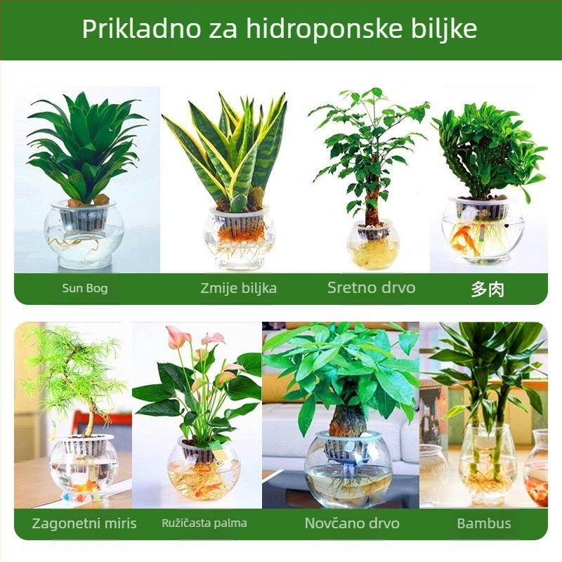 Prozirna plastična posuda za unutarnju hidroponiju s automatskim zalijevanjem, za stolno ili podno korištenje, jednostavan dizajn.