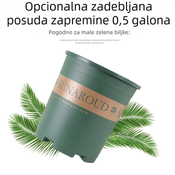 Plastični galonski lonac s debelim dnom, visok dizajn za zelene biljke, kreativan dizajn za Pothos, ruže i sukulente, kontrola korijena