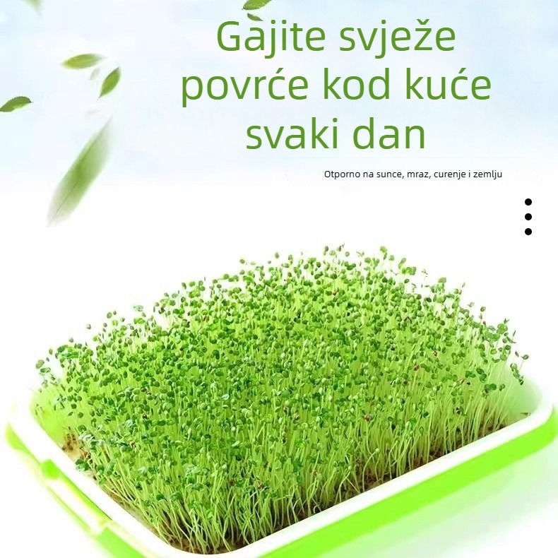 Hydroponski spremnik za sadnice, PP materijal, kombinirani i višeslojni dizajn, injekcijsko oblikovanje