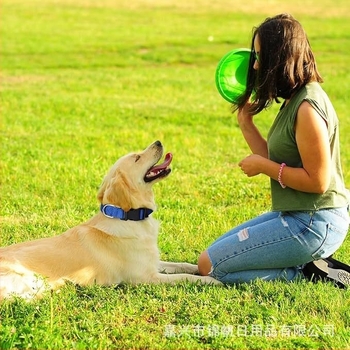 Set ogrlice i povodca za pse - najlon, monohromatski uzorak, ležerni stil, Jinfan