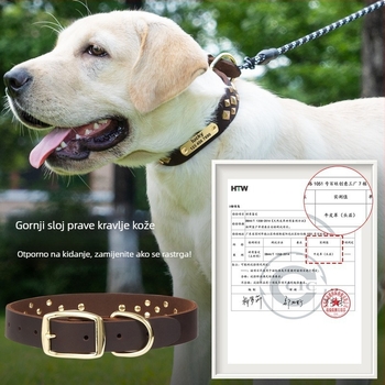 One Tail kožni ovratnik za psa – mrežasti uzorak, hip-hop stil, za sve sezone