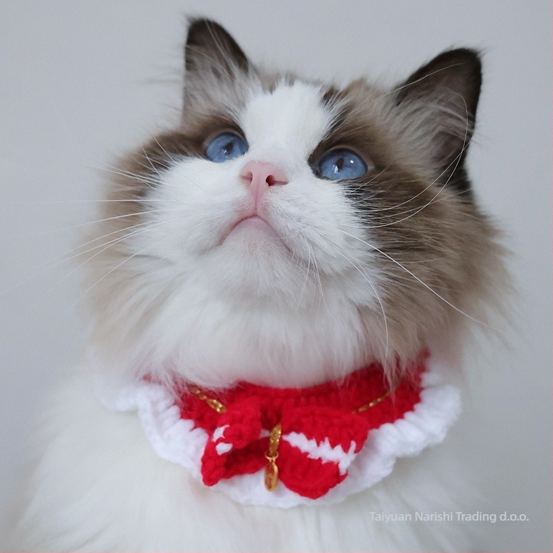 Pleteni dodatak za kućne ljubimce – dizajn s usklađivanjem boja, vuneni materijal, univerzalna primjena, INS stil, pogodan za sve sezone