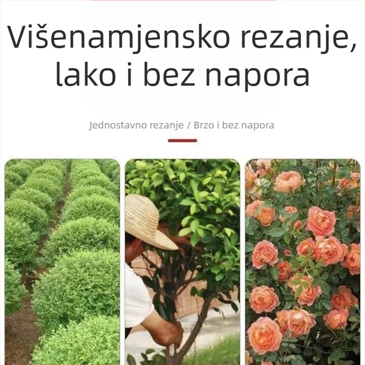 Nerđajući čelične škare za podrezivanje, dizajn ptičjeg kljuna, drške od TPR-a, fino poliranje, model 168A