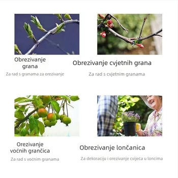 Škare za podrezivanje grana od nehrđajućeg čelika, s mogućnošću cijepljenja, za vrt i voćke, vlastita marka