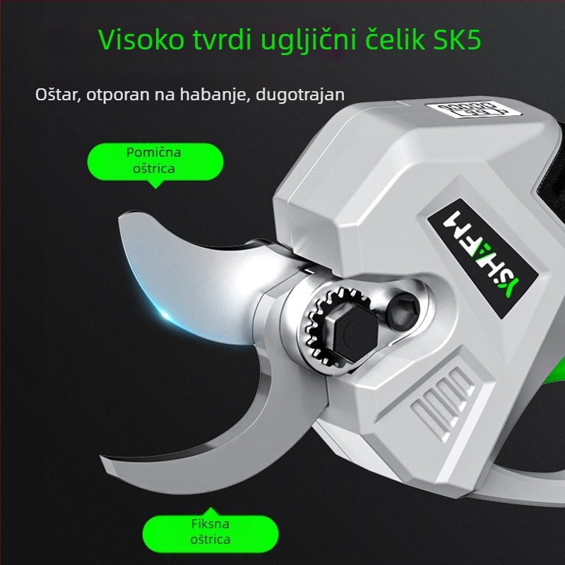 Rain Tree Električne škare za podrezivanje – vrt i voćna stabla