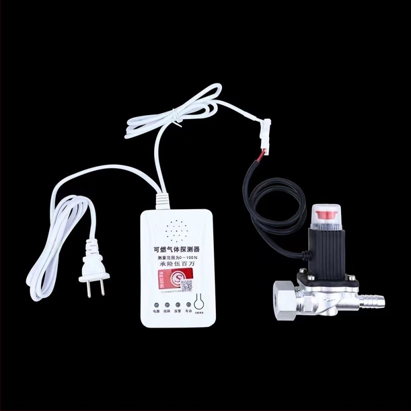 Gasni alarmni detektor GB2019, 220V, akustično-optni alarm, zidna montaža