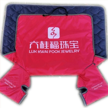 PVC jednodjelni štit za tricikl, motocikl i električna vozila — za višekratnu upotrebu, mogućnost tiskanja logotipa, brend Splendid