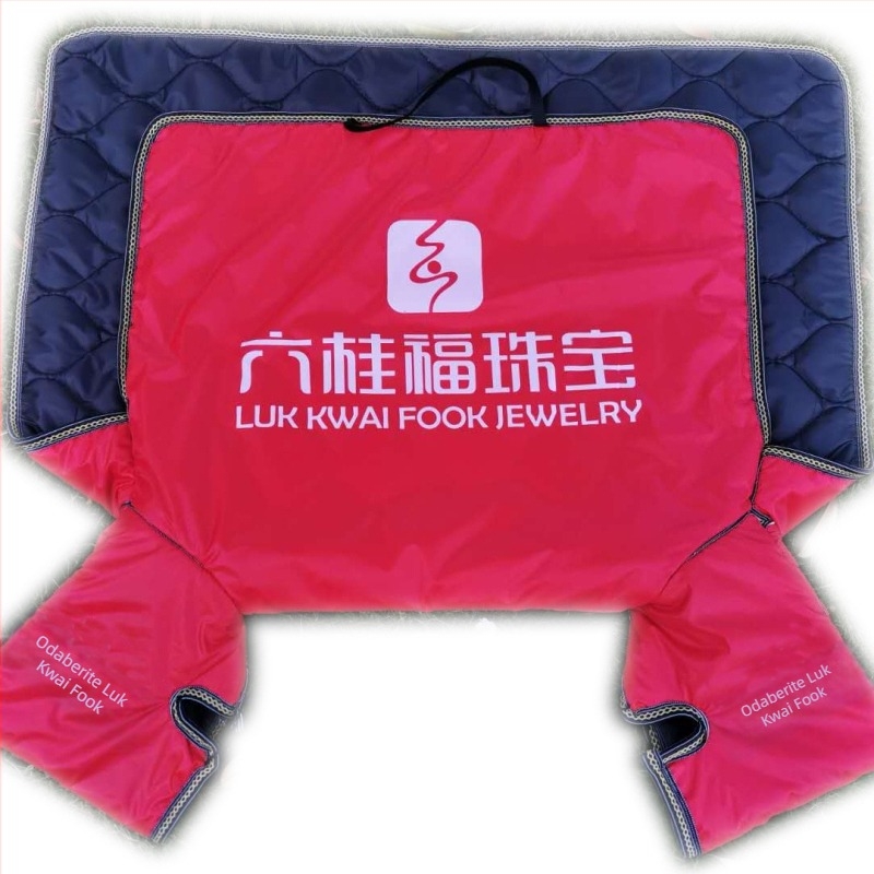 PVC jednodjelni štit za tricikl, motocikl i električna vozila — za višekratnu upotrebu, mogućnost tiskanja logotipa, brend Splendid